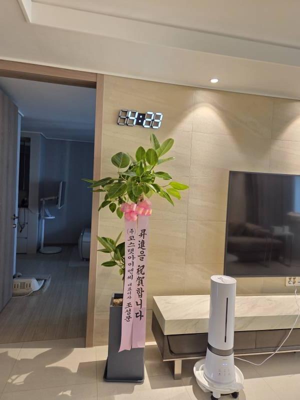 업로드 이미지