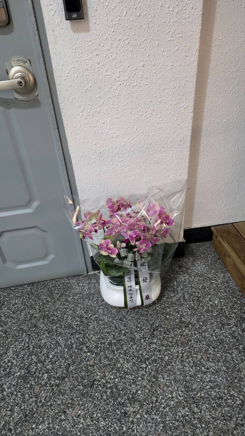 업로드 이미지