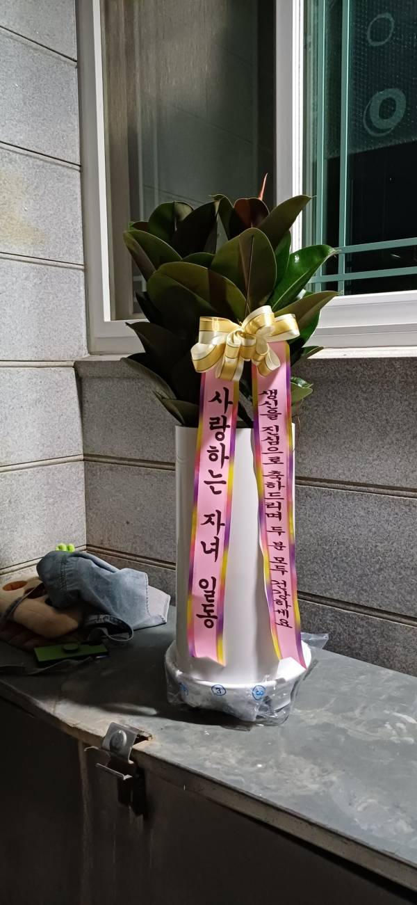 업로드 이미지