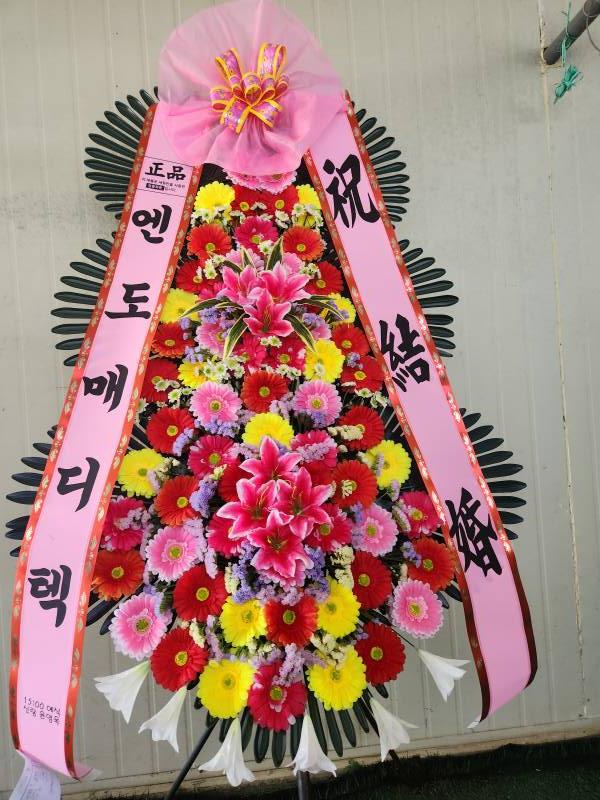 업로드 이미지