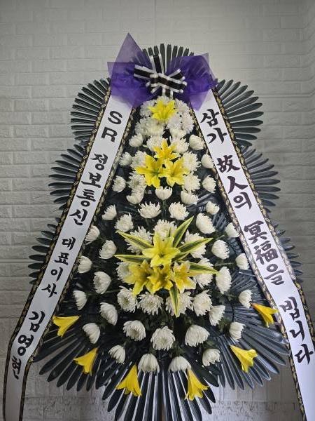 업로드 이미지