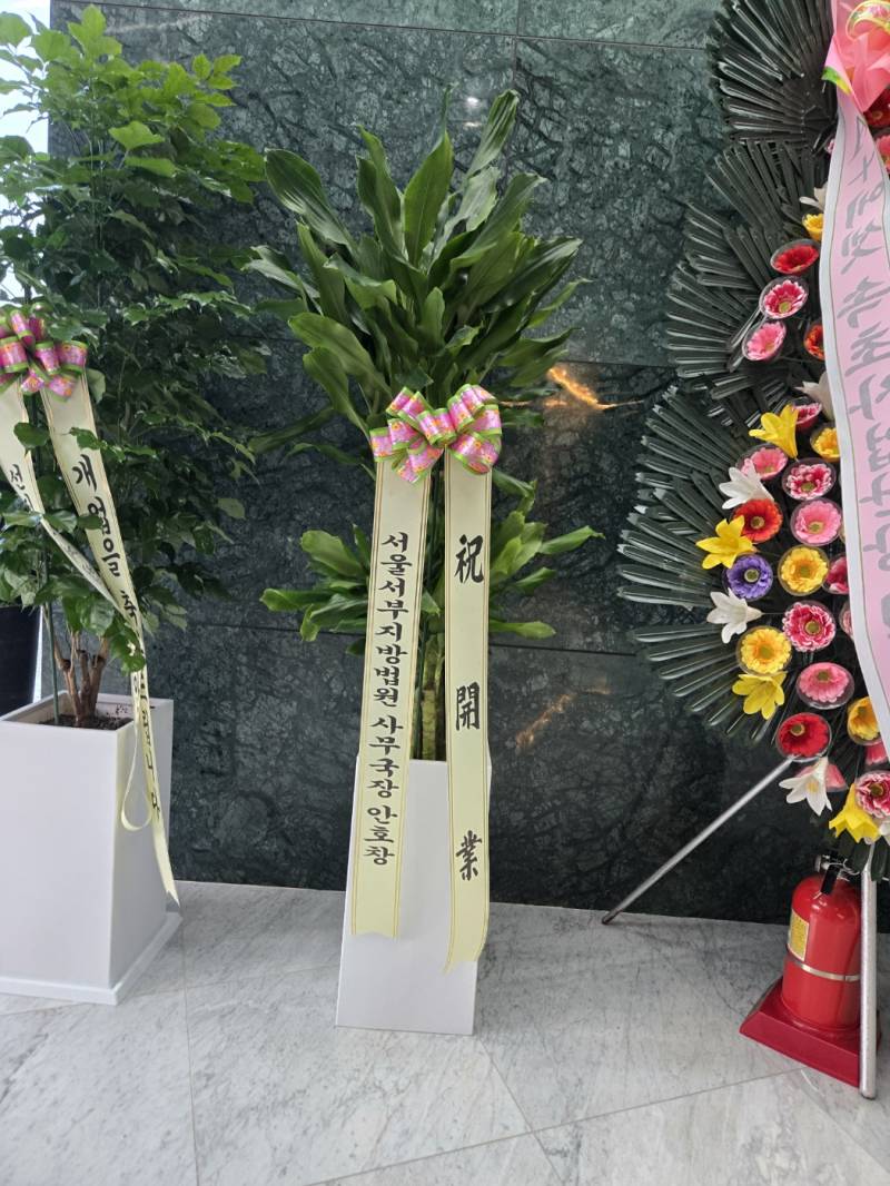 업로드 이미지