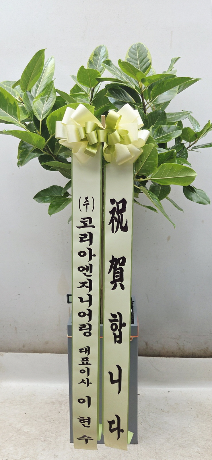 업로드 이미지