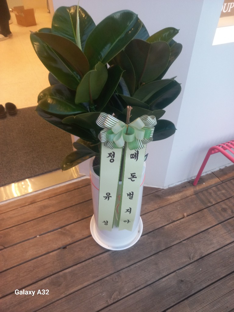 업로드 이미지