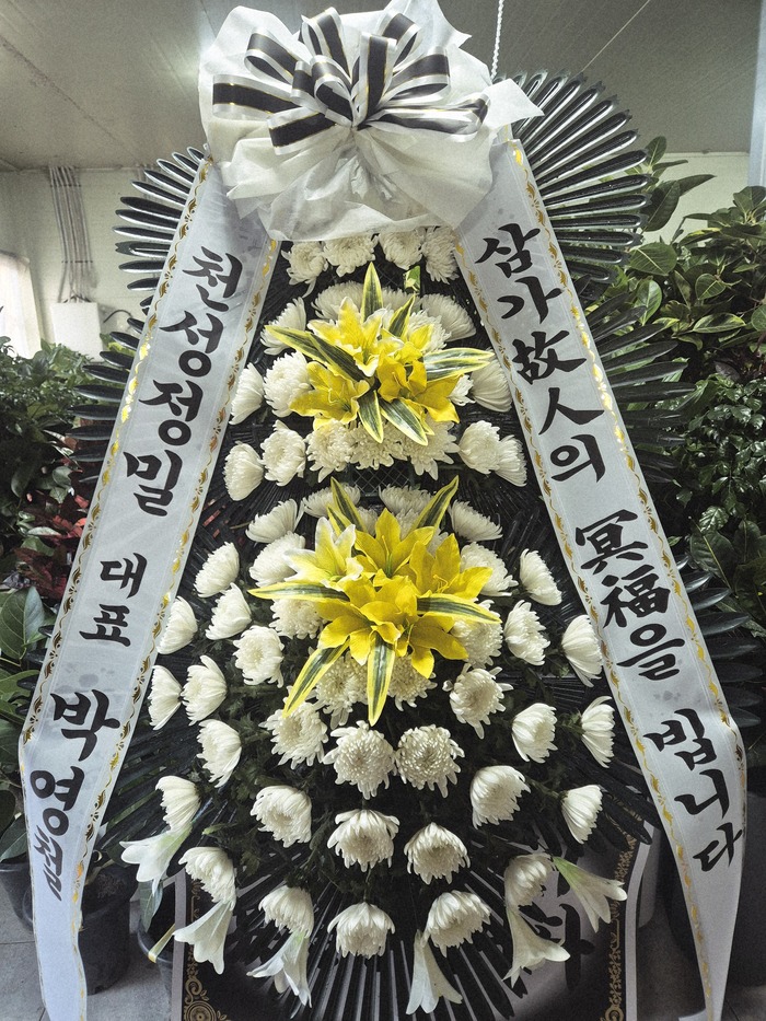 업로드 이미지