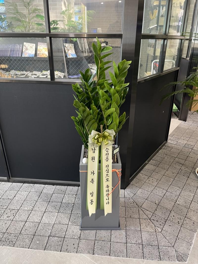 업로드 이미지