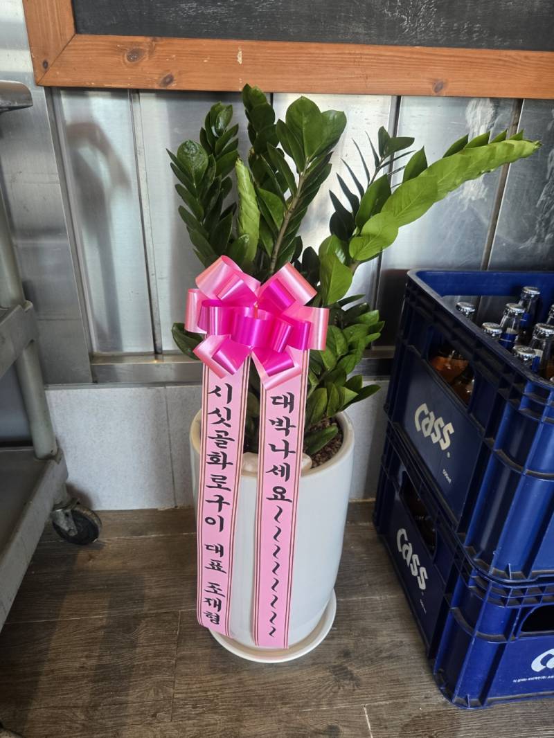 업로드 이미지