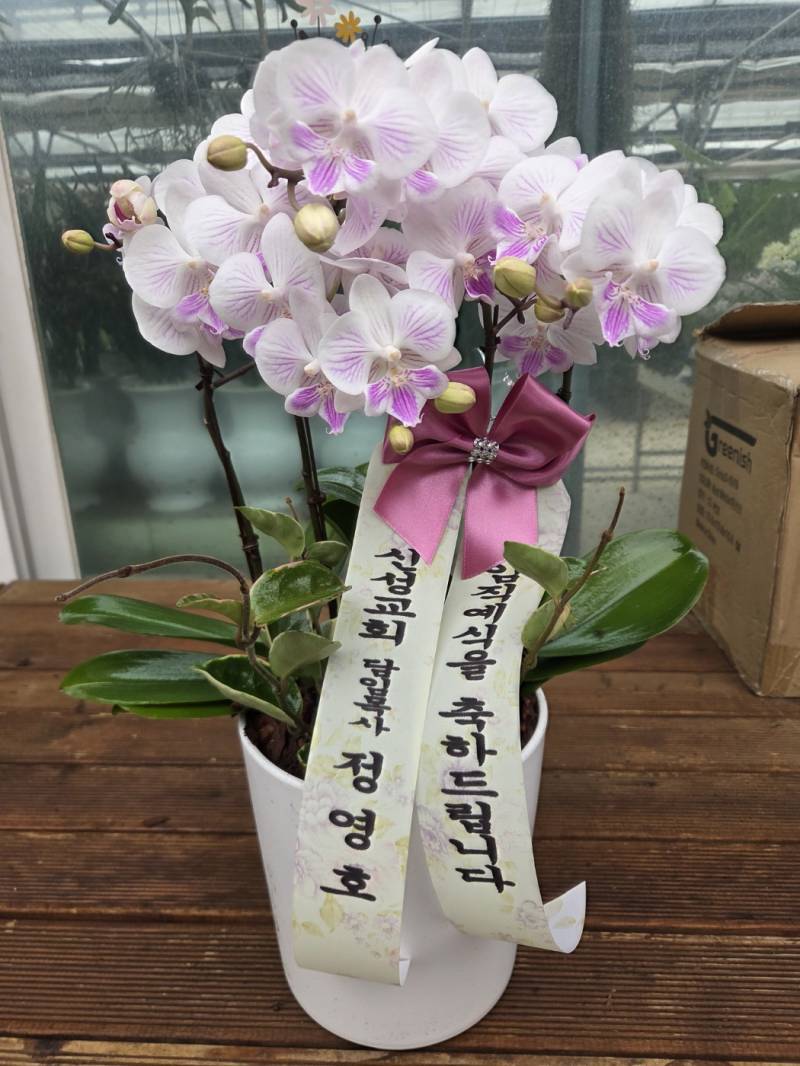 업로드 이미지