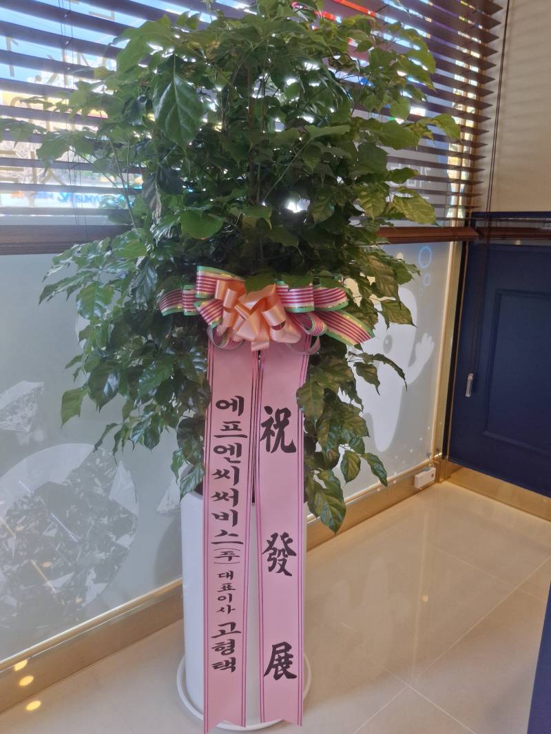 업로드 이미지