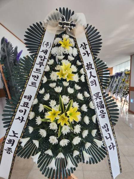 업로드 이미지