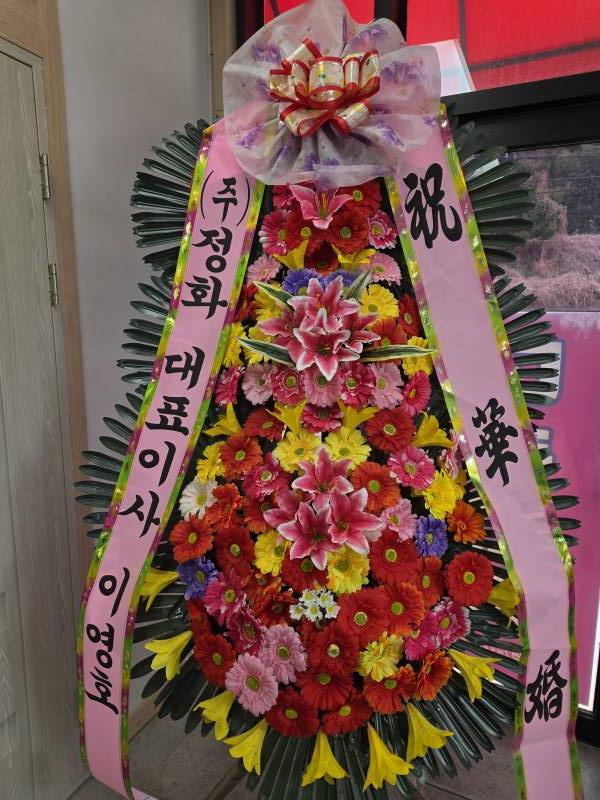 업로드 이미지