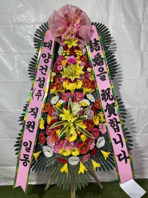 업로드 이미지