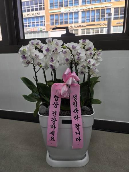 업로드 이미지