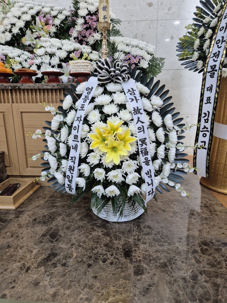 업로드 이미지