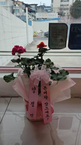 업로드 이미지