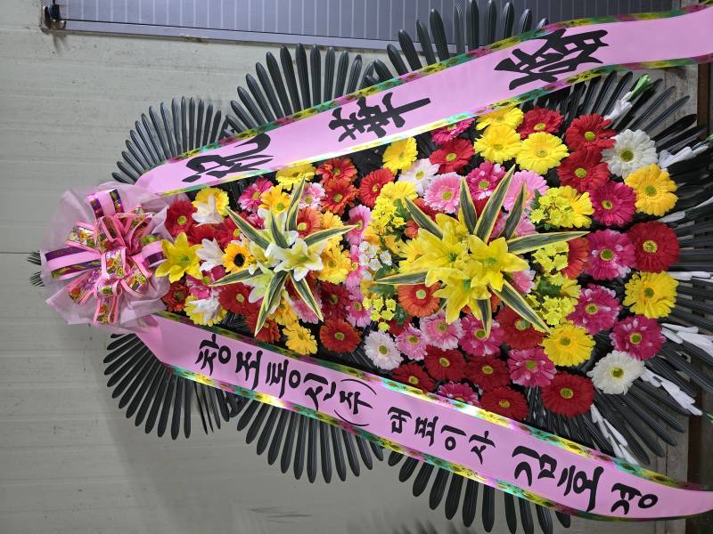 업로드 이미지