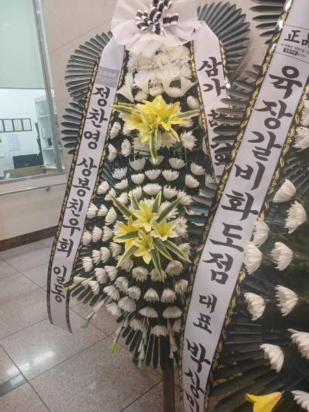 업로드 이미지
