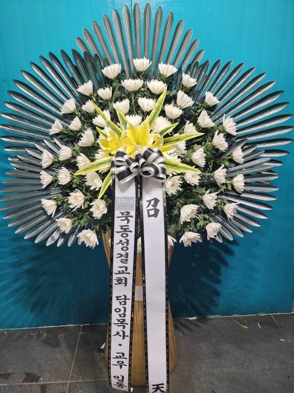 업로드 이미지