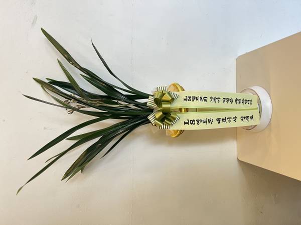업로드 이미지