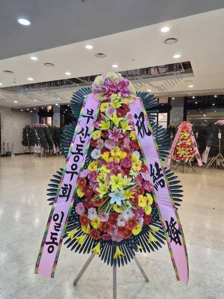 업로드 이미지