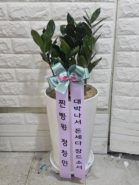 업로드 이미지