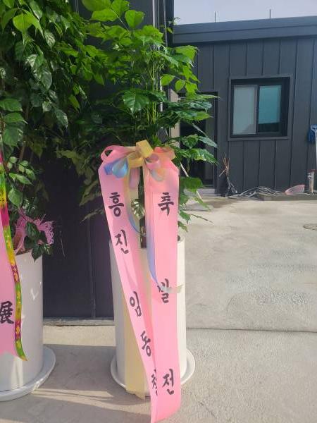 업로드 이미지