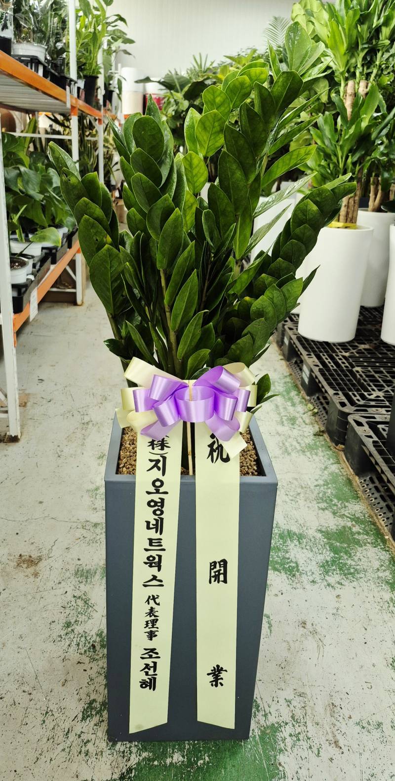 업로드 이미지