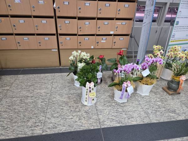 업로드 이미지