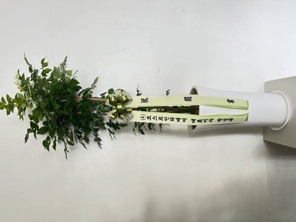 업로드 이미지