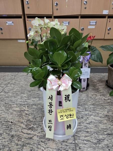 업로드 이미지