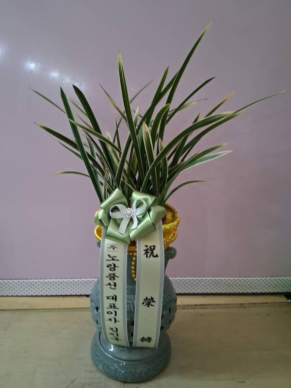 업로드 이미지