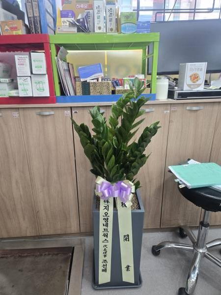 업로드 이미지