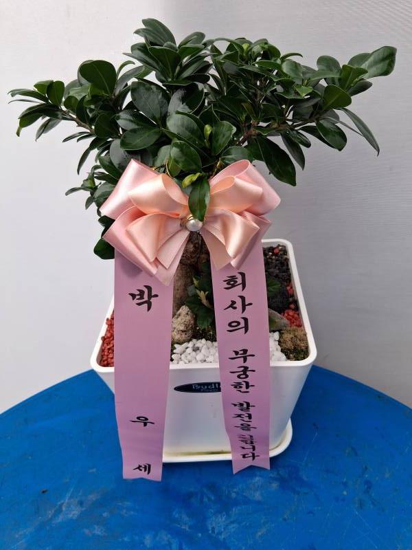업로드 이미지