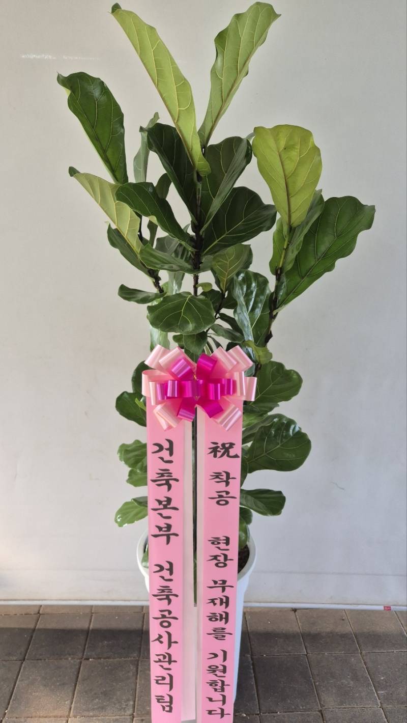 업로드 이미지