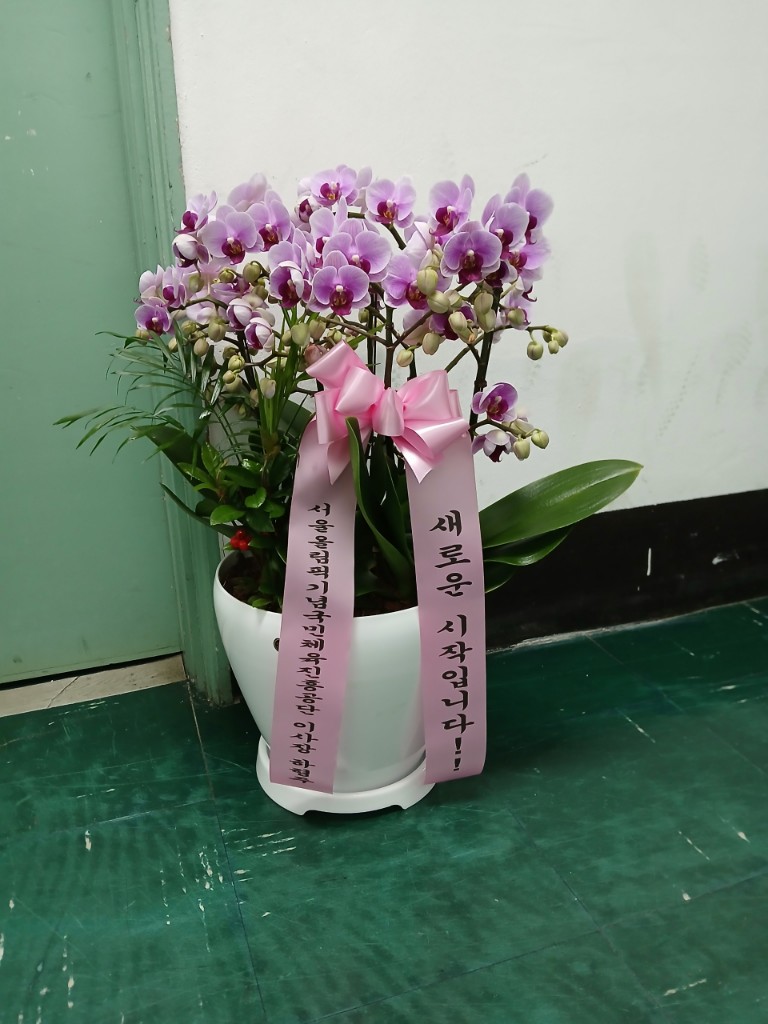 업로드 이미지