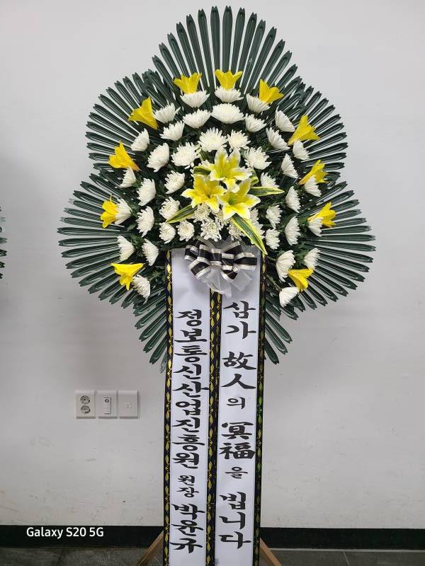 업로드 이미지