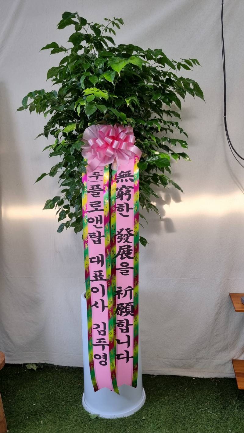 업로드 이미지