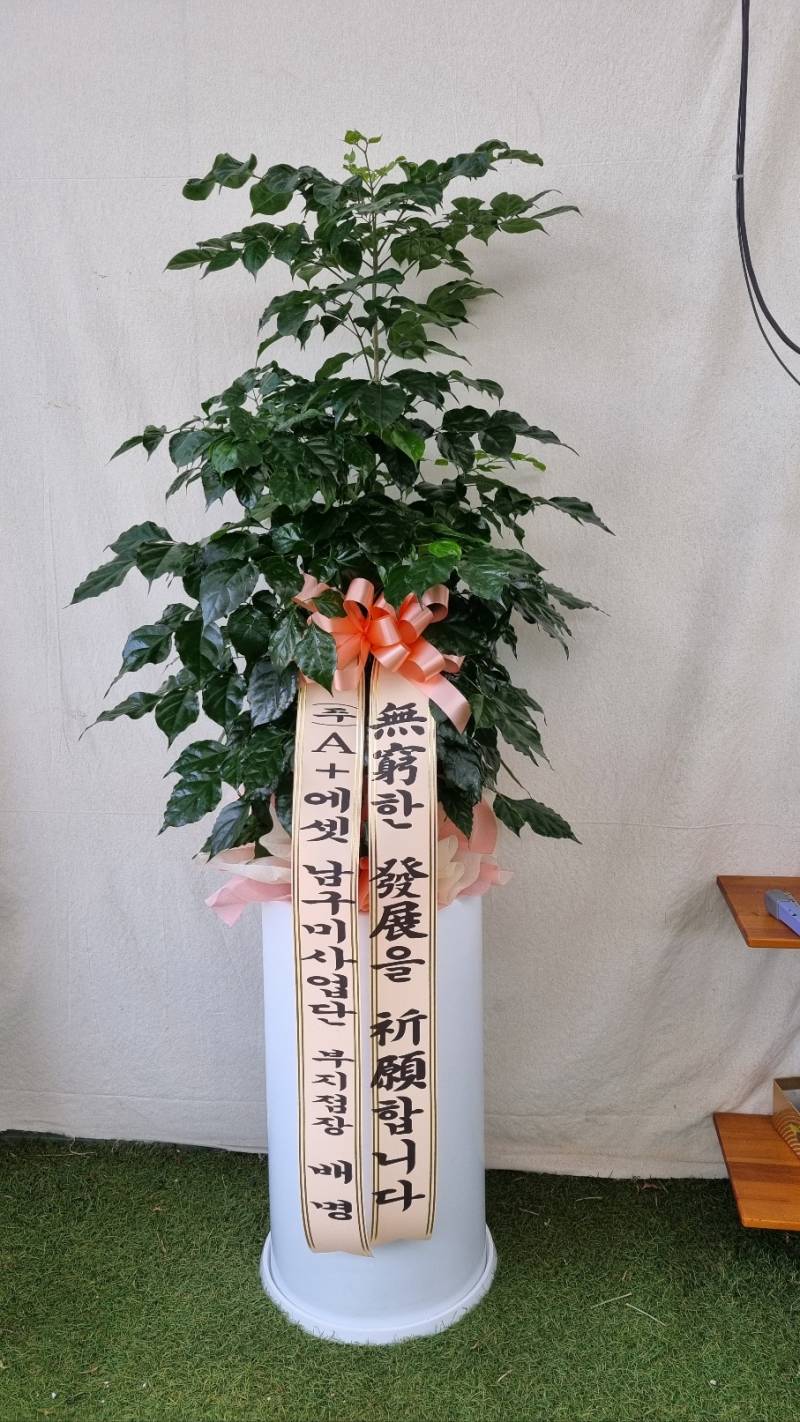 업로드 이미지