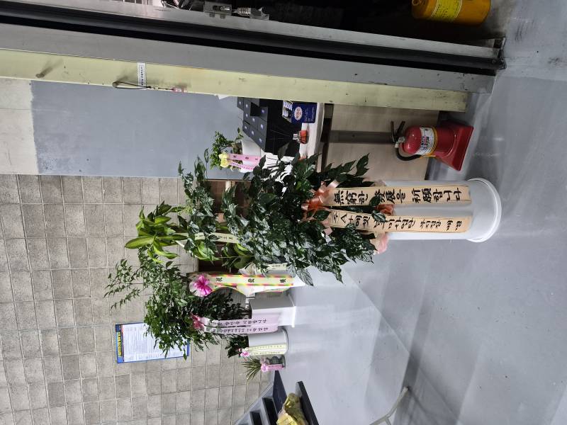 업로드 이미지