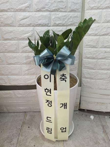 업로드 이미지