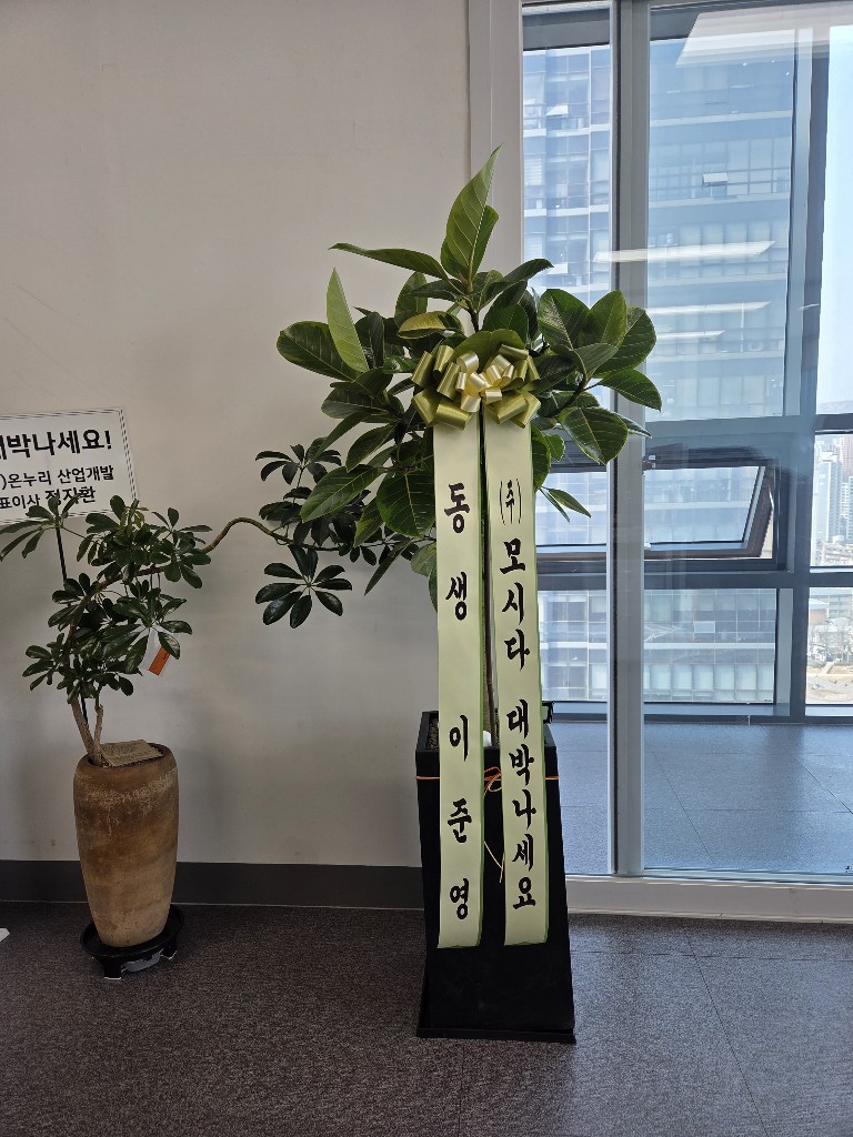 업로드 이미지
