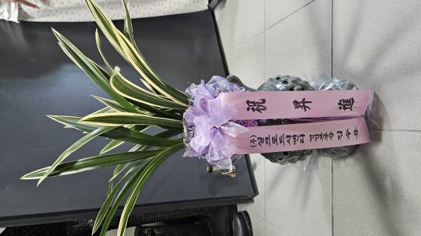 업로드 이미지