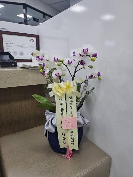 업로드 이미지