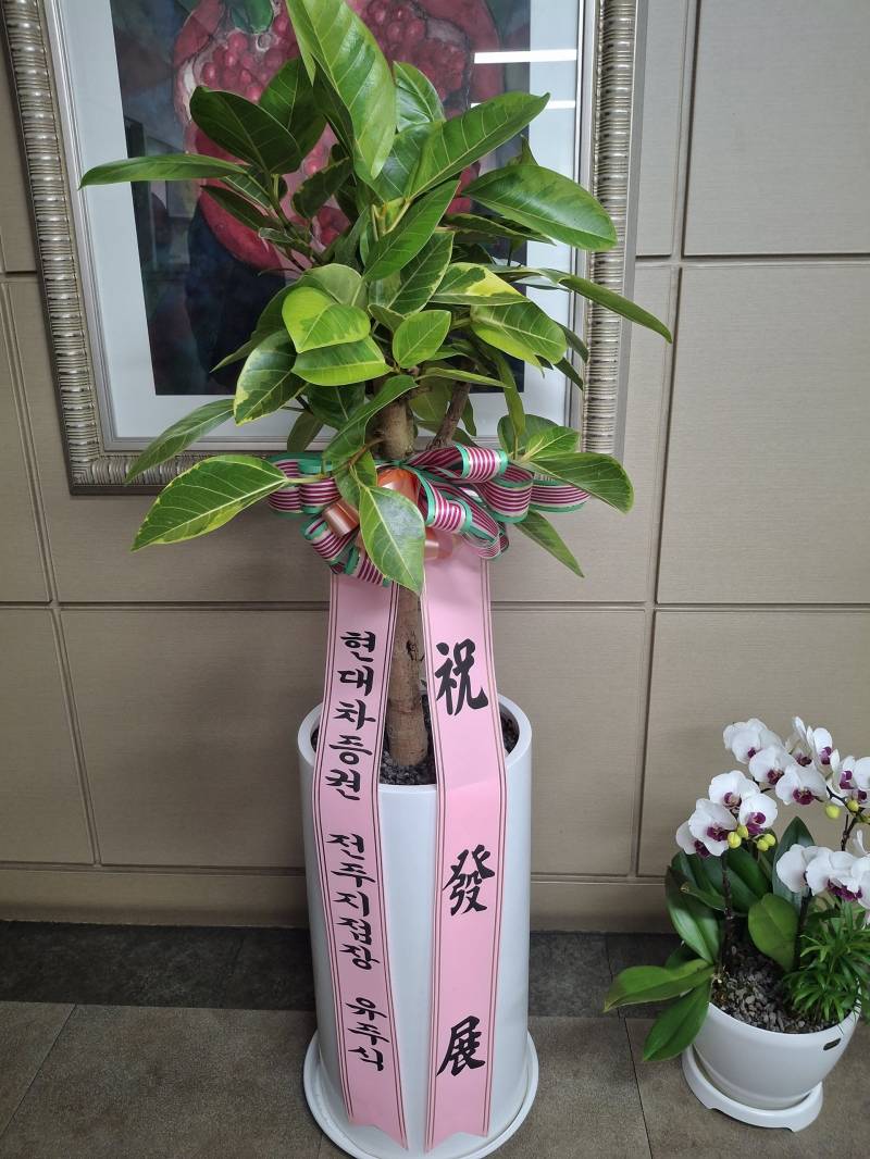 업로드 이미지