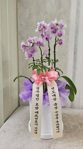 업로드 이미지