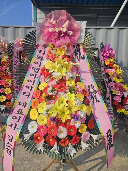 업로드 이미지