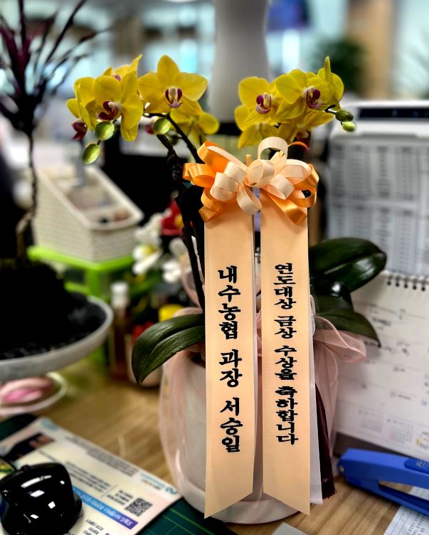 업로드 이미지