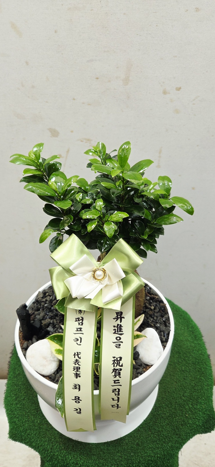 업로드 이미지