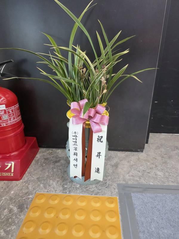 업로드 이미지