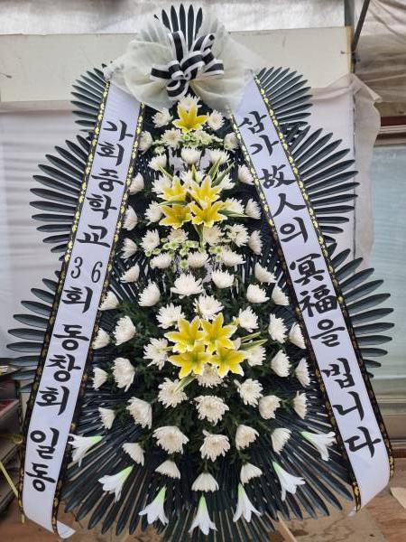 업로드 이미지